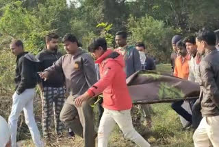 नदीत पोहायला गेलेल्या शाळकरी मुलाचा बुडून दुर्दैवी मृत्यू”