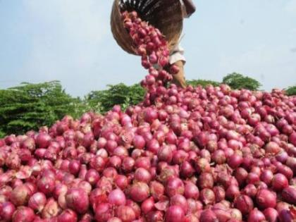 दसऱ्याच्या शुभमुहूर्तावर कांद्याचे लिलाव सुरु, प्रतिक्विंटल कांद्याला 6161 रुपयांचा दर