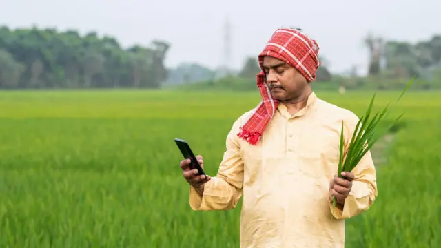 शेतकऱ्यांसाठी महत्वाची बातमी! पीक विमा योजनेचा लाभ घेण्यासाठी उरले फक्त 3 दिवस