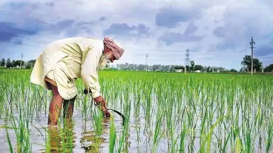 “शेतकऱ्यांसाठी खुशखबर! सरकारची महत्त्वपूर्ण योजना जाहीर”