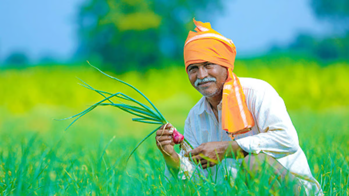 राज्य सरकाराचा मोठा निर्णय; ४ हजार ८४९ एकर जमीन परत देणार, ९६३ शेतकऱ्यांसाठी मदत