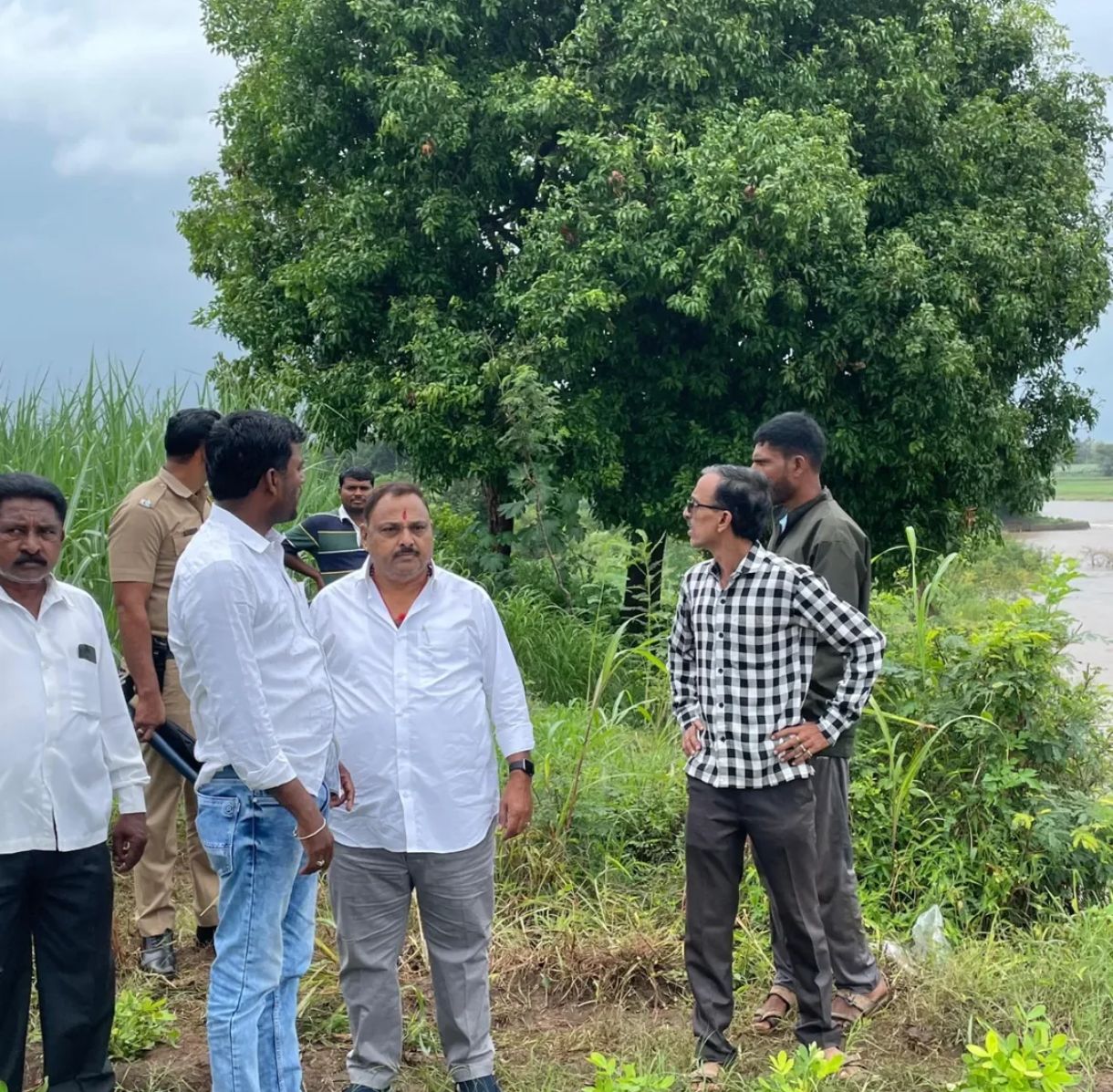 कनवाड येथे कृष्णा नदीच्या पुराने वाहून गेलेल्या ११ एकर शेतीची आमदार यड्रावकर यांच्याकडून पाहणी – तातडीने पंचनाम्याचे आदेश