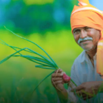 शेतकऱ्यांसाठी महत्त्वाची बातमी; कृषी विभागाने घेतला मोठा निर्णय