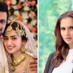 सानिया मिर्झाची फसवणूक, तिसऱ्या बायकोसोबत शोएब मलिकनं केलं तरी काय, होणार घटस्फोट!
