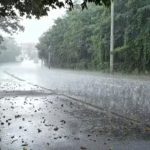 चक्रीवादळाचा राज्यावर होणार परिणाम, पुढील चार दिवस पावसाचा अंदाज