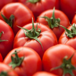टॉमेटोने वाढवला सर्वसामान्यांच्या किचनचा बजेट…