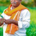 शेतकरी कर्जमाफी कधी होणार? अत्यंत महत्वाची माहिती आली समोर