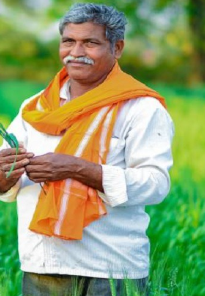 शेतकरी कर्जमाफी कधी होणार? अत्यंत महत्वाची माहिती आली समोर