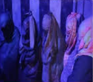 भाजप नेत्याच्या फ्लॅटमध्ये सेक्स रॅकेटचा पर्दाफाश; 9 मुली आणि 4 मुले जप्त, कचऱ्याच्या डब्यात आढळले नको ते साहित्य