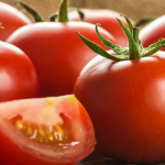 महागाईचा फटका! टोमॅटोच्या दरात पुन्हा वाढ, किलोला मोजावे लागतायेत इतके रुपये