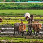 शेतकऱ्यांना बजेटमध्ये लॉटरी लागणार का? महत्वाची माहिती समोर