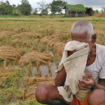 बळीराजाला मोठा दिलासा! ‘या’ नुकसानग्रस्त शेतकऱ्यांना प्रतिहेक्टरी मिळणार ‘इतकी’ मदत