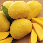 ‘हापूस’कडून निराशा! मोहोर ७० टक्के मात्र फळ केवळ…; उत्पादन खर्च मिळणेही अवघड