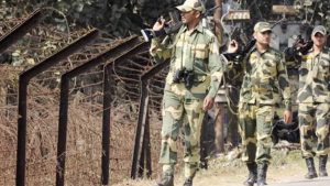 सिमेवरच्या तारांच्या कुंपणाला जवान रिकाम्या काचेच्या बाटल्या का अडकवतात? खरं कारण कळलं तर तुम्हीही हे उपाय लावाल