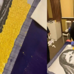 मुंबईतल्या या महागड्या साडीच्या किंमतीत येतील तब्बल 40 आलिशान फ्लॅट्स; या साडीत असं आहे तरी काय?